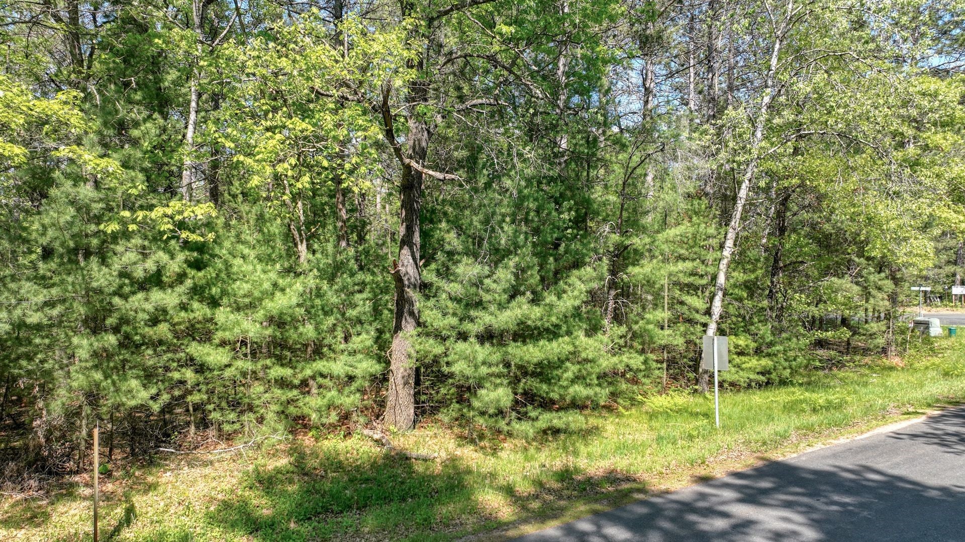 8667 Lakeside Road Willard, WI 54493 - Photo 3 of 11