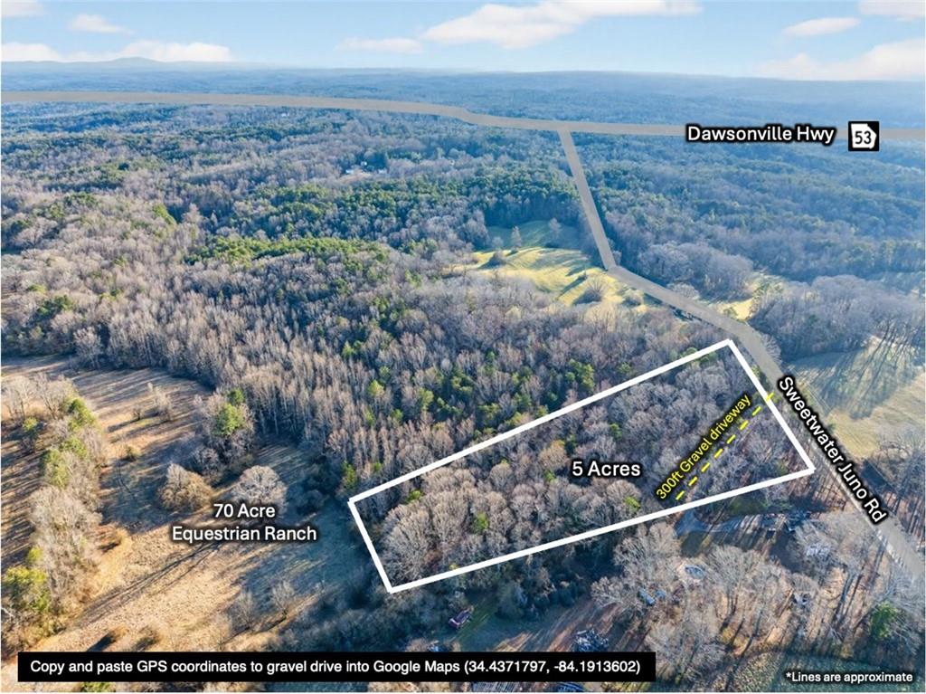 0 Sweetwater Juno Road Dawsonville, GA 30534 - Photo 4 of 18