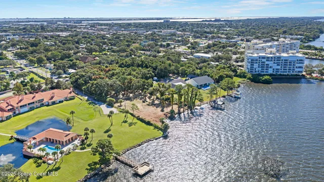 a view of a yard with plants