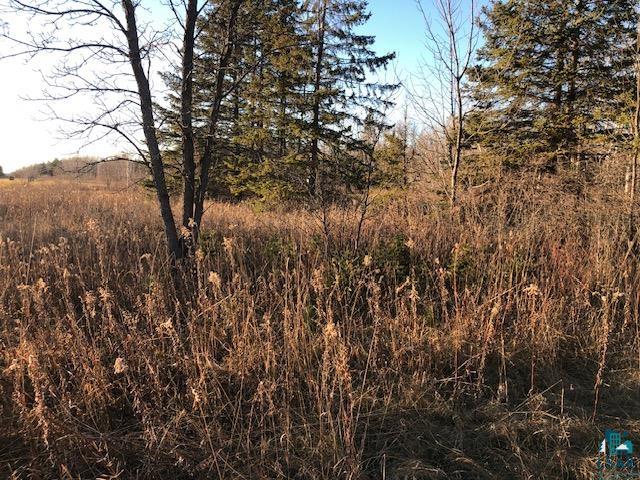 11410 Hendrickson Road Maple, WI 54854 - Photo 3 of 12
