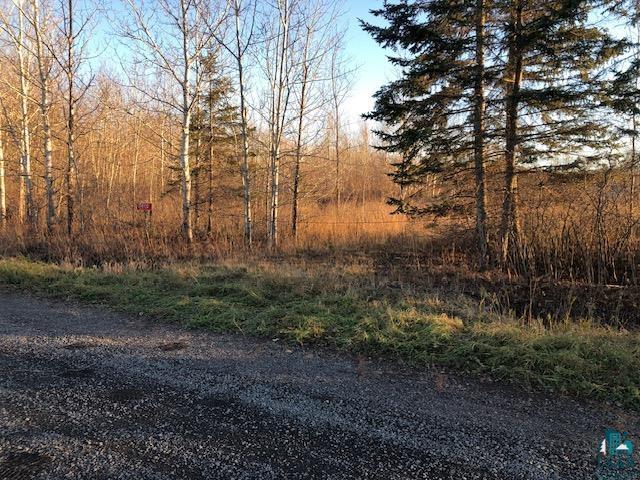11410 Hendrickson Road Maple, WI 54854 - Photo 4 of 12