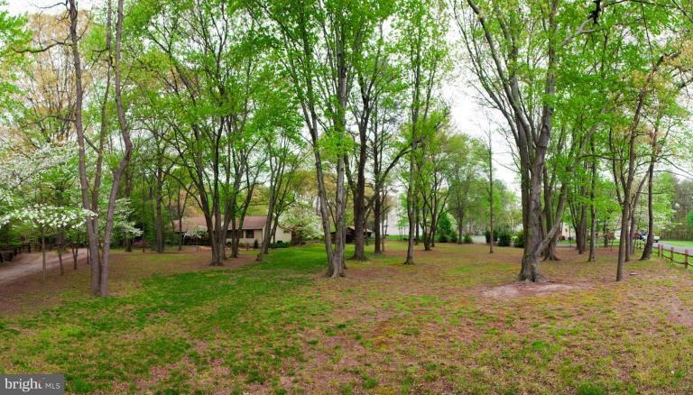 876 Sycamore Hill Road Severn, MD 21144 - Photo 24 of 30 Back yard