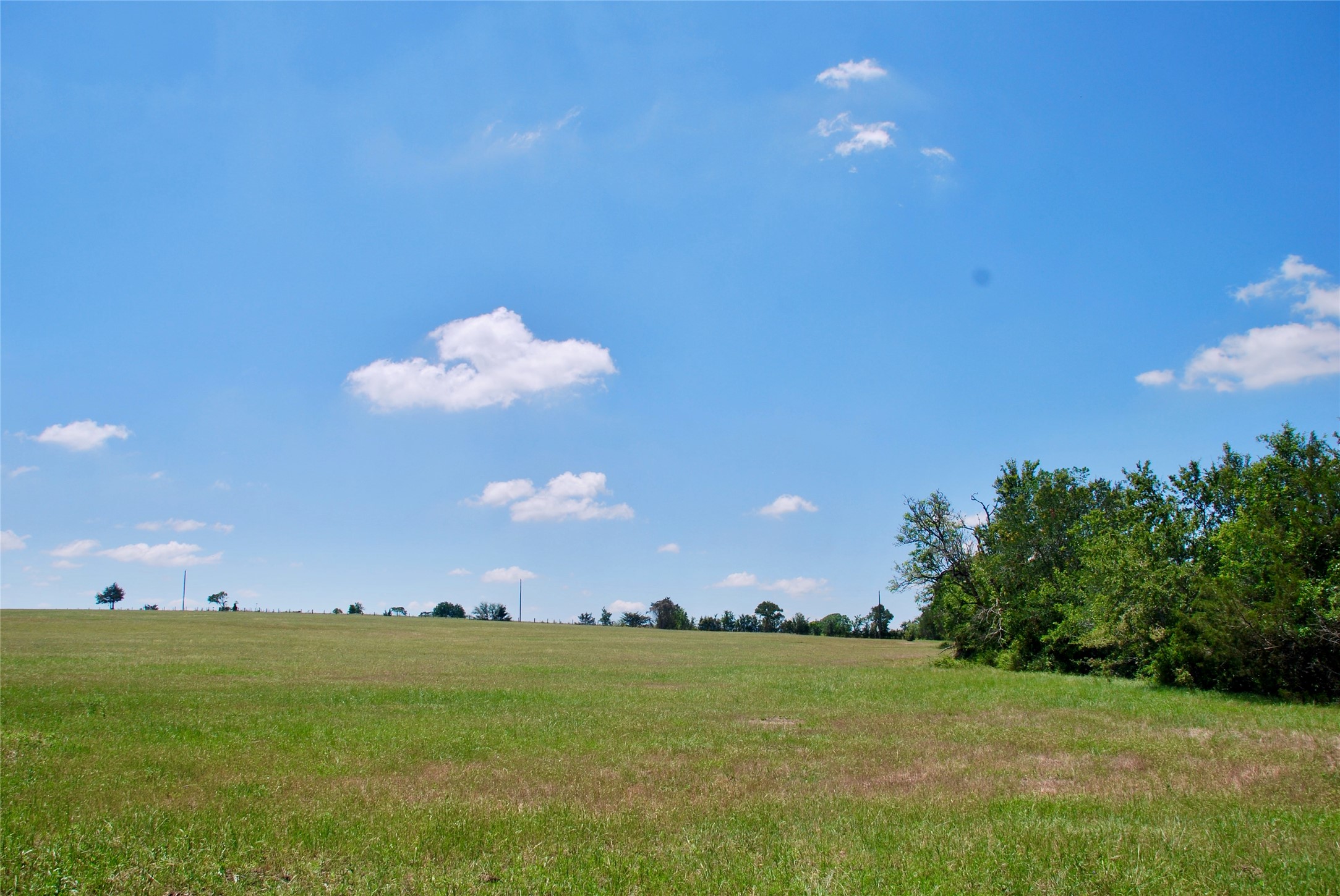 3703 Muehr Road Weimar, TX 78962 - Photo 8 of 29
