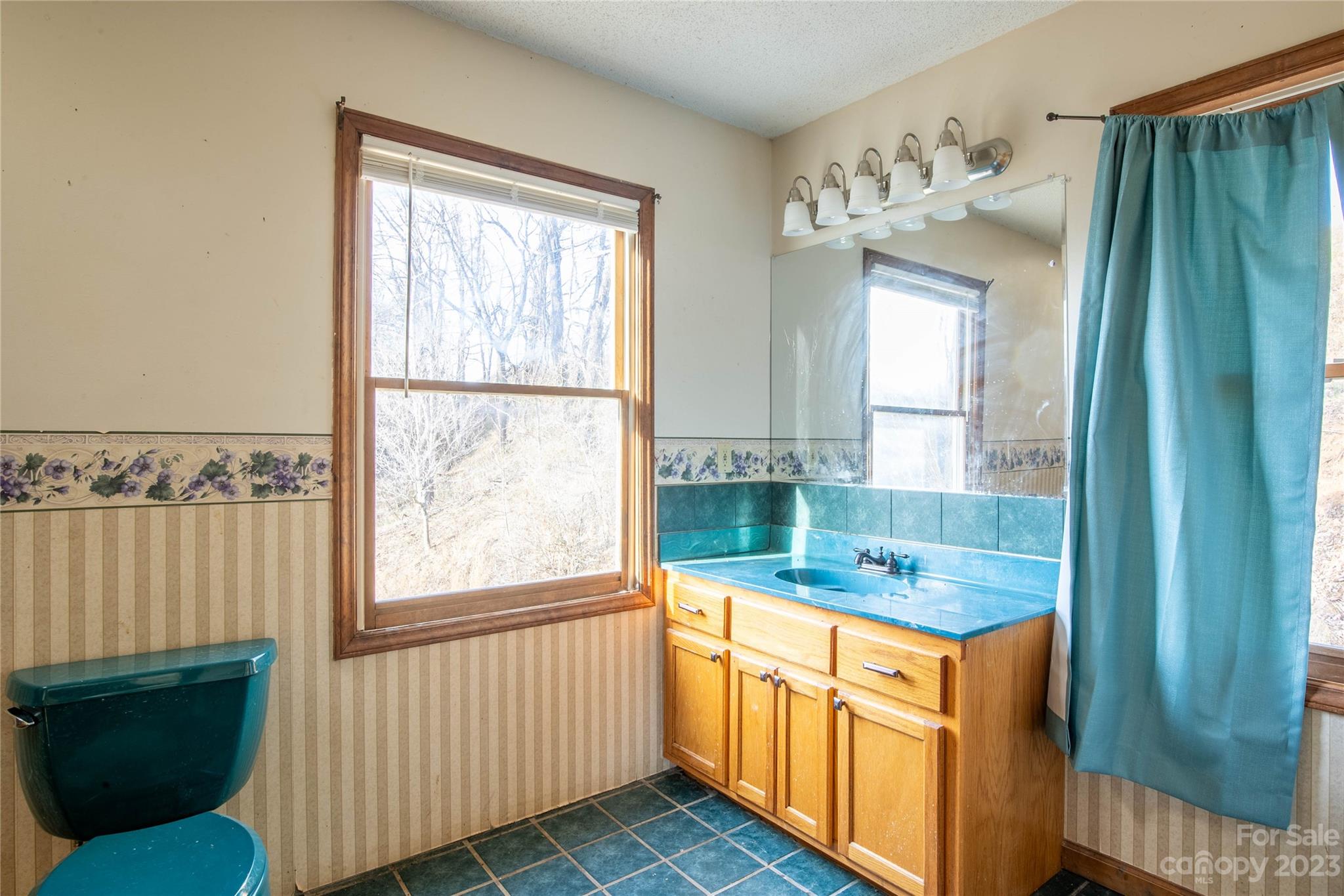 3954 Highway 80 Bakersville, NC 28705 - Photo 24 of 34 a bathroom with a sink a mirror and a bathtub