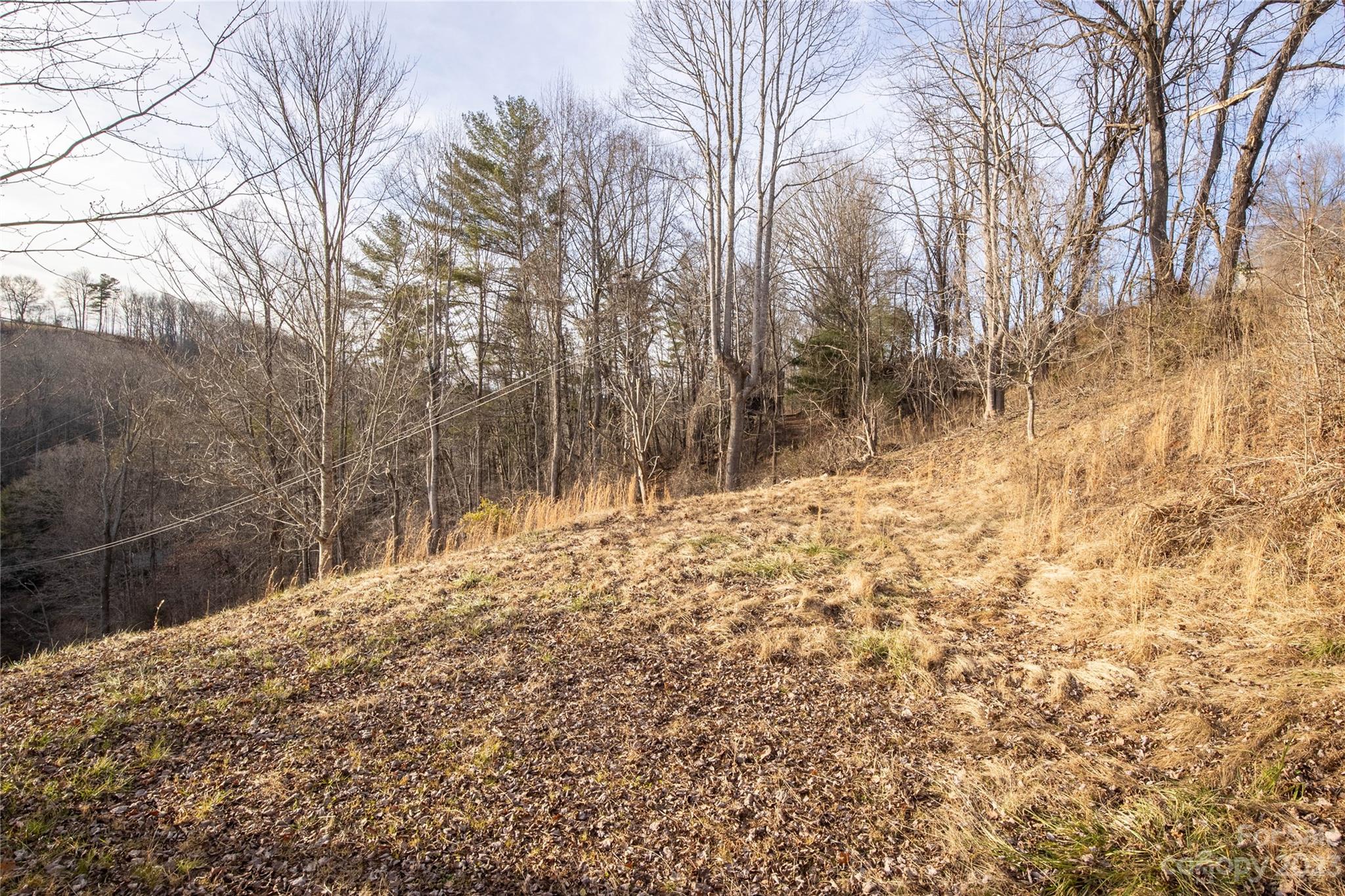 3954 Highway 80 Bakersville, NC 28705 - Photo 31 of 34 a view of a yard covered with snow in the front