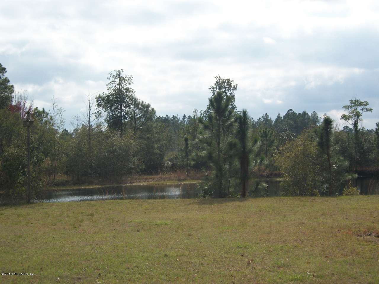 1499 Brangus Road Middleburg, FL 32068 - Photo 1 of 32 Brangus 007