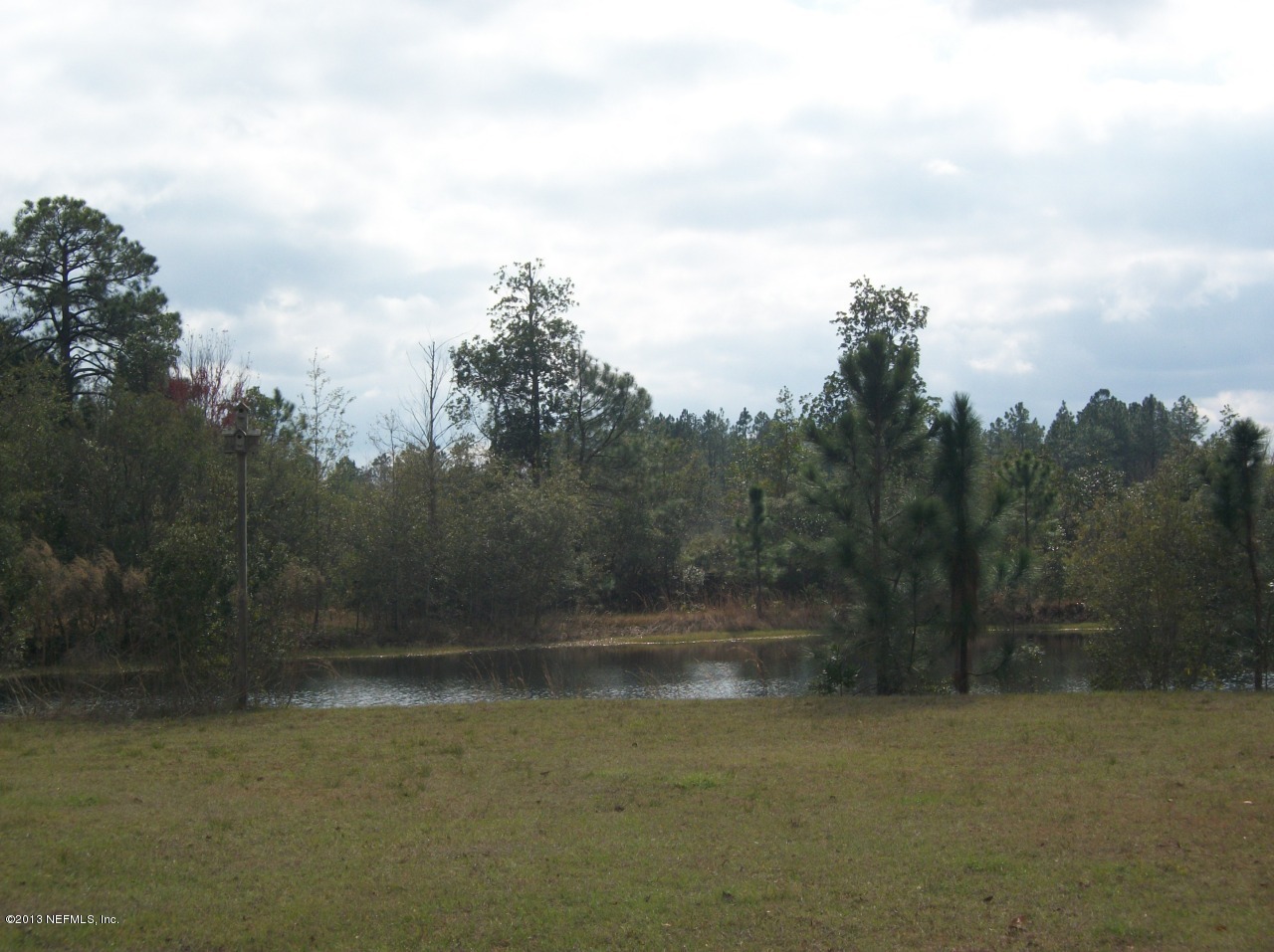 1499 Brangus Road Middleburg, FL 32068 - Photo 8 of 32 Brangus 008