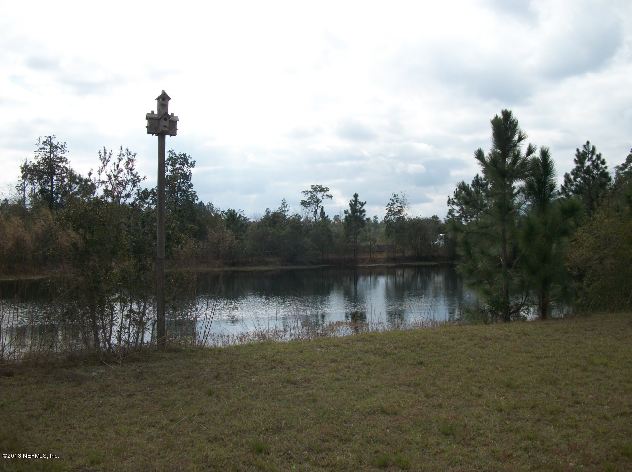 1499 Brangus Road Middleburg, FL 32068 - Photo 9 of 32 Brangus 009
