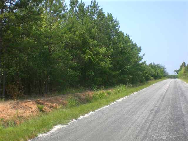 70-acres Jets Landing Road Abbeville, SC 29620 - Photo 1 of 2 Gallery Image 1