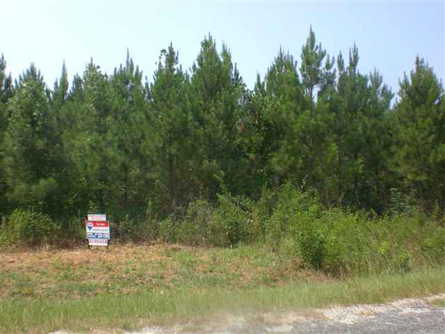 70-acres Jets Landing Road Abbeville, SC 29620 - Photo 2 of 2 Gallery Image 2
