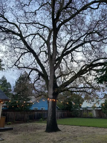 $4,700 | 164 Vía Del Sol, Walnut Creek, CA 94597