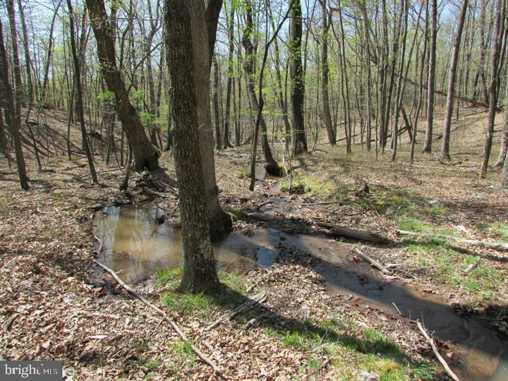 1419 Paul's Woods Road Delray, WV 26714 - Photo 49 of 105