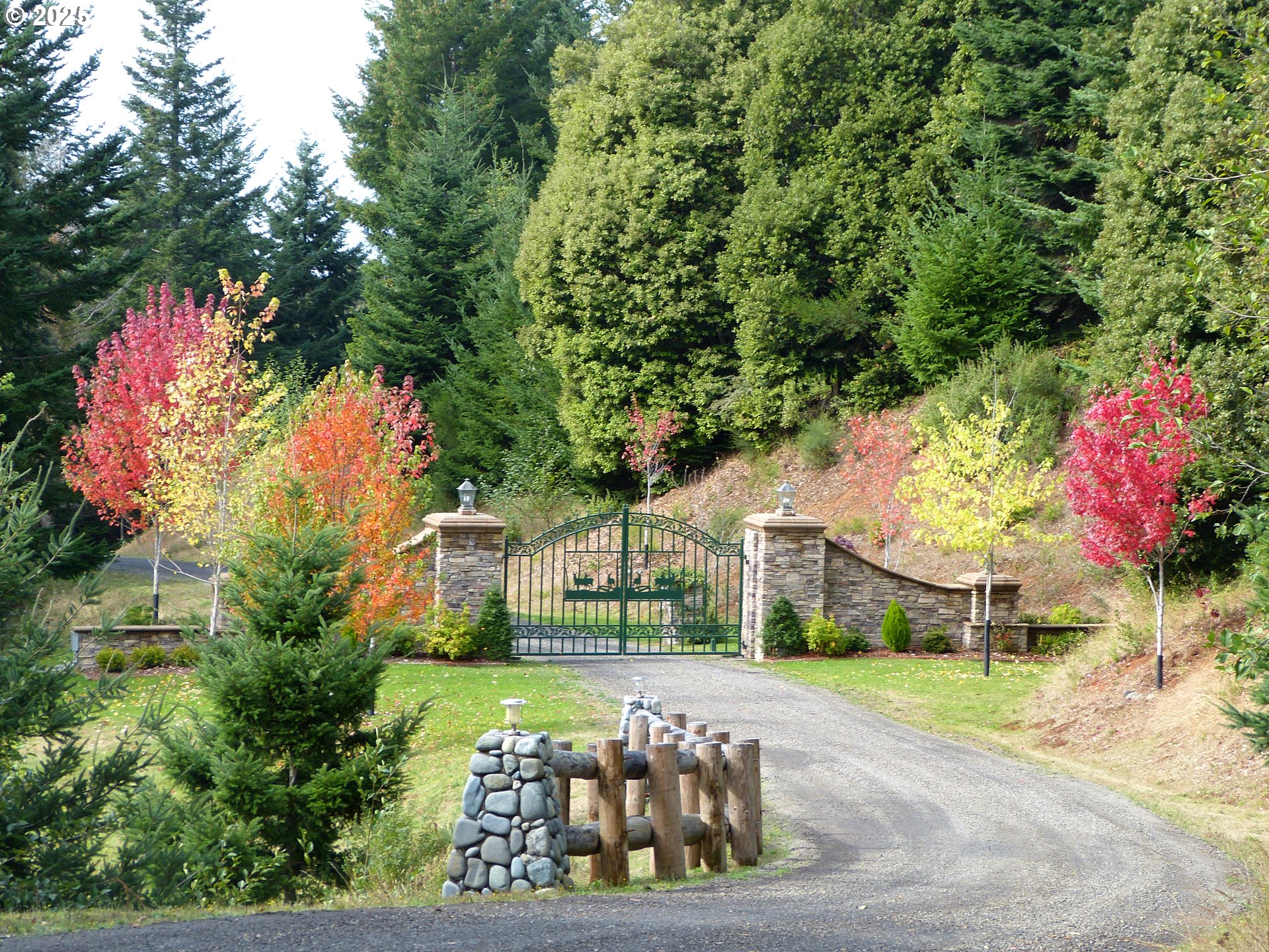 25500 Cape View Loop Gold Beach, OR 97444 - Photo 7 of 48 Driveway