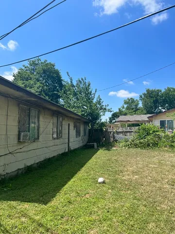 a view of a backyard with plants and large trees