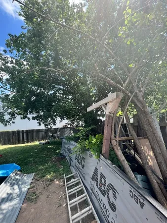 a view of a yard with plants and a bench
