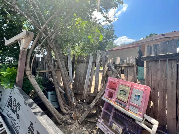 a sign that is on a tree