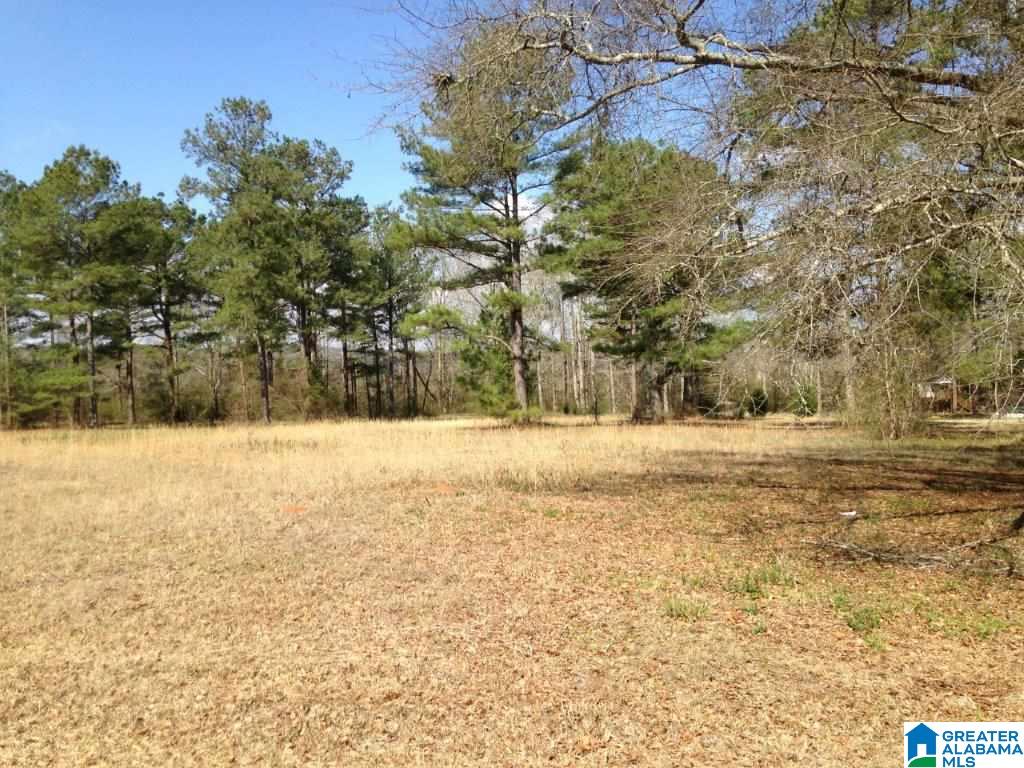 870 Beaver Ridge Drive, Unit 1 Ashville, AL 35953 - Photo 1 of 4