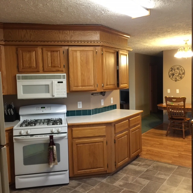 9984 East Pleasant Valley Road Shepherd, MI 48883 - Photo 9 of 31 1812763-8.JPG