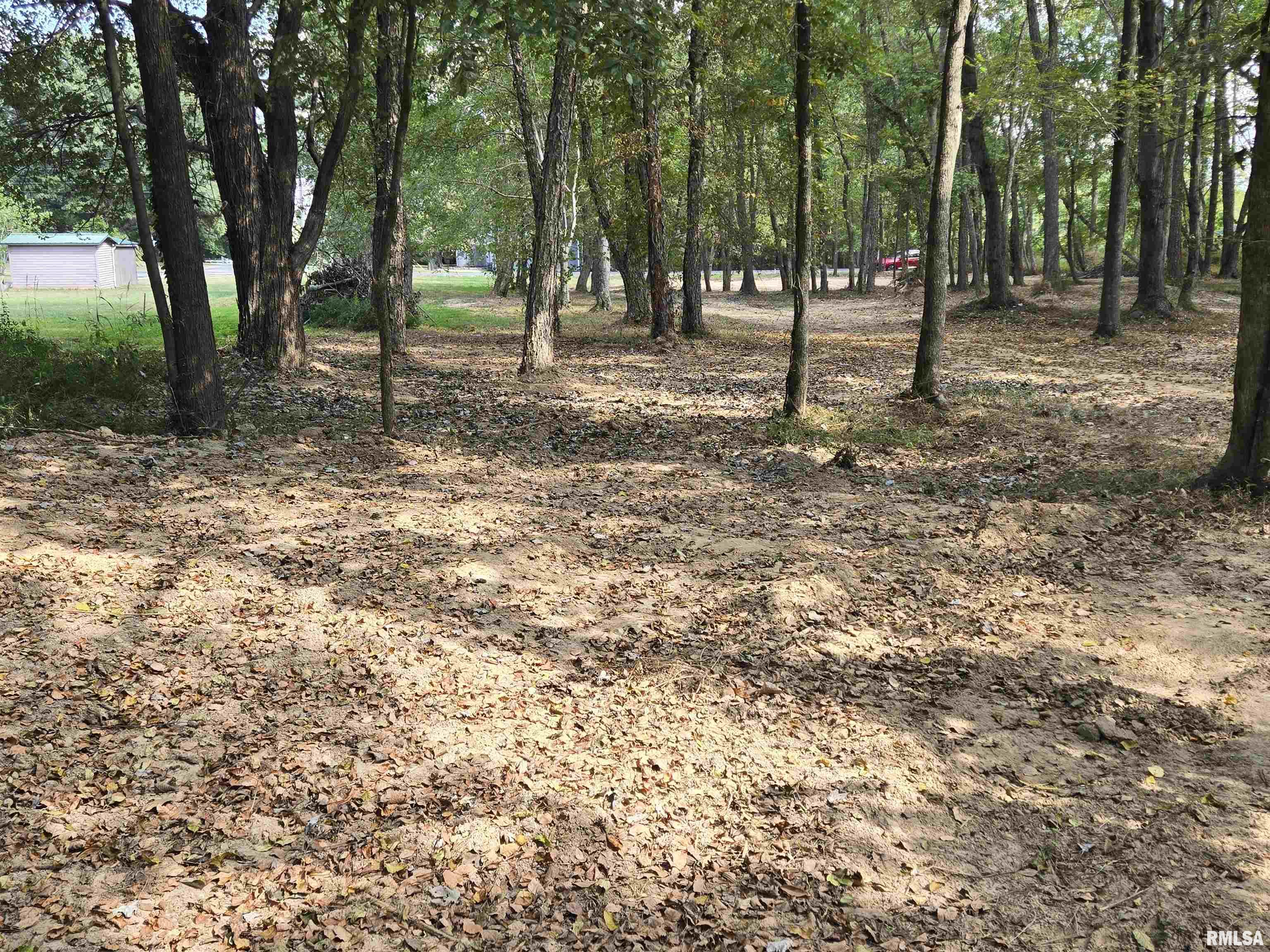 Lot 4 Norman Road Marion, IL 62959 - Photo 4 of 6