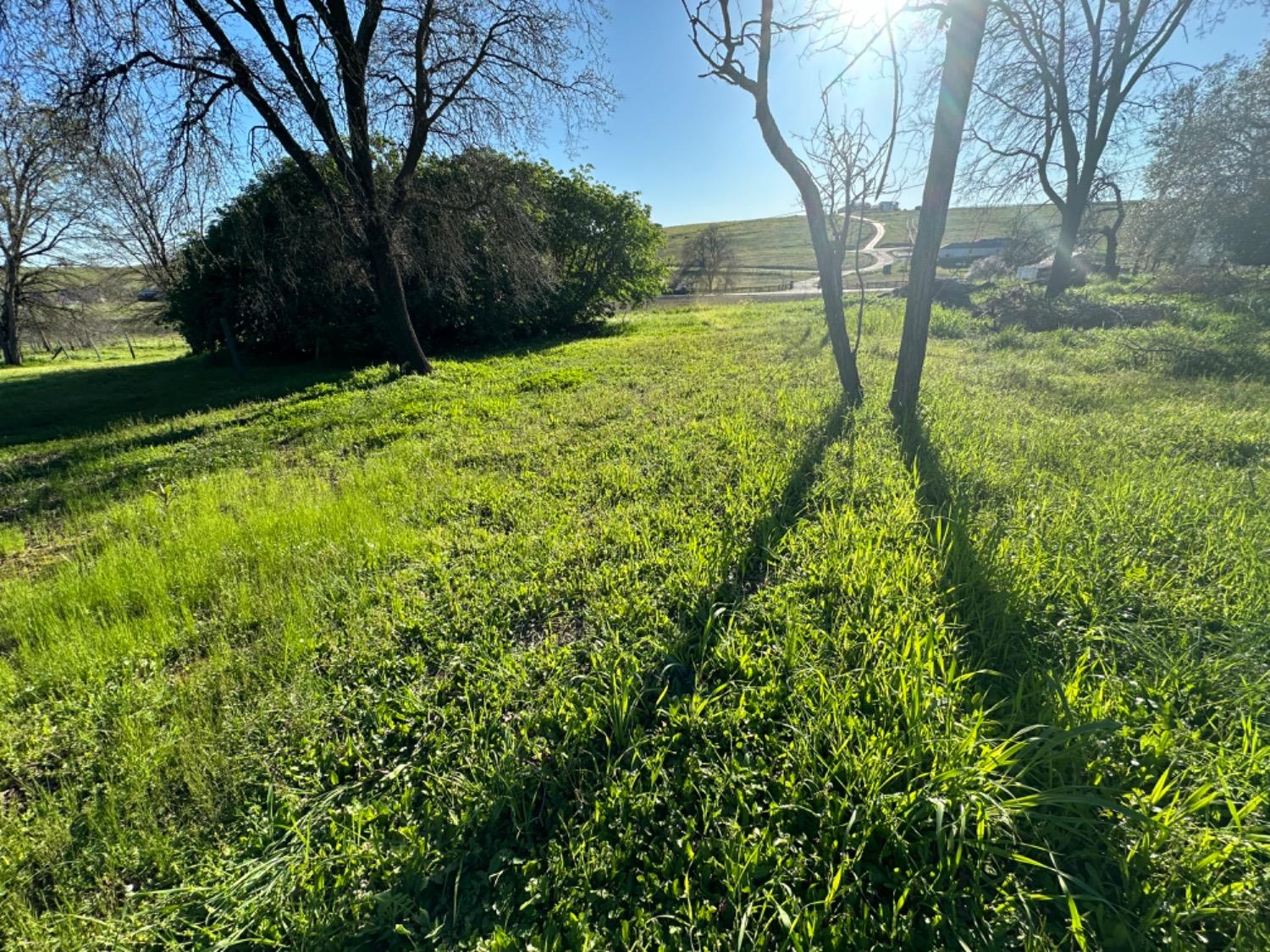 7512 Latrobe Triangle Rd  