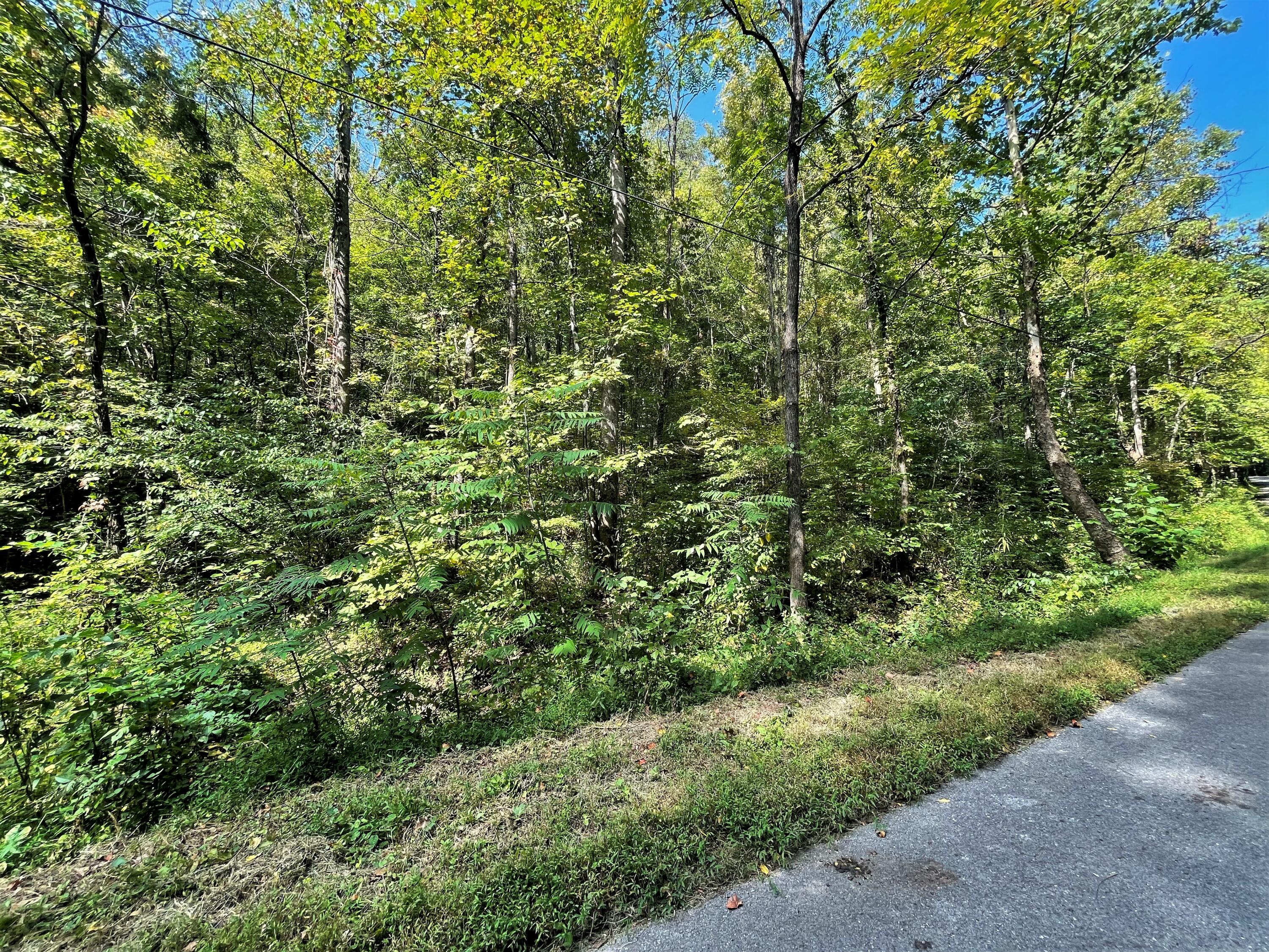 Lot Abc Dyer Hollow Road Mohawk, TN 37810 - Photo 23 of 32 IMG_4031