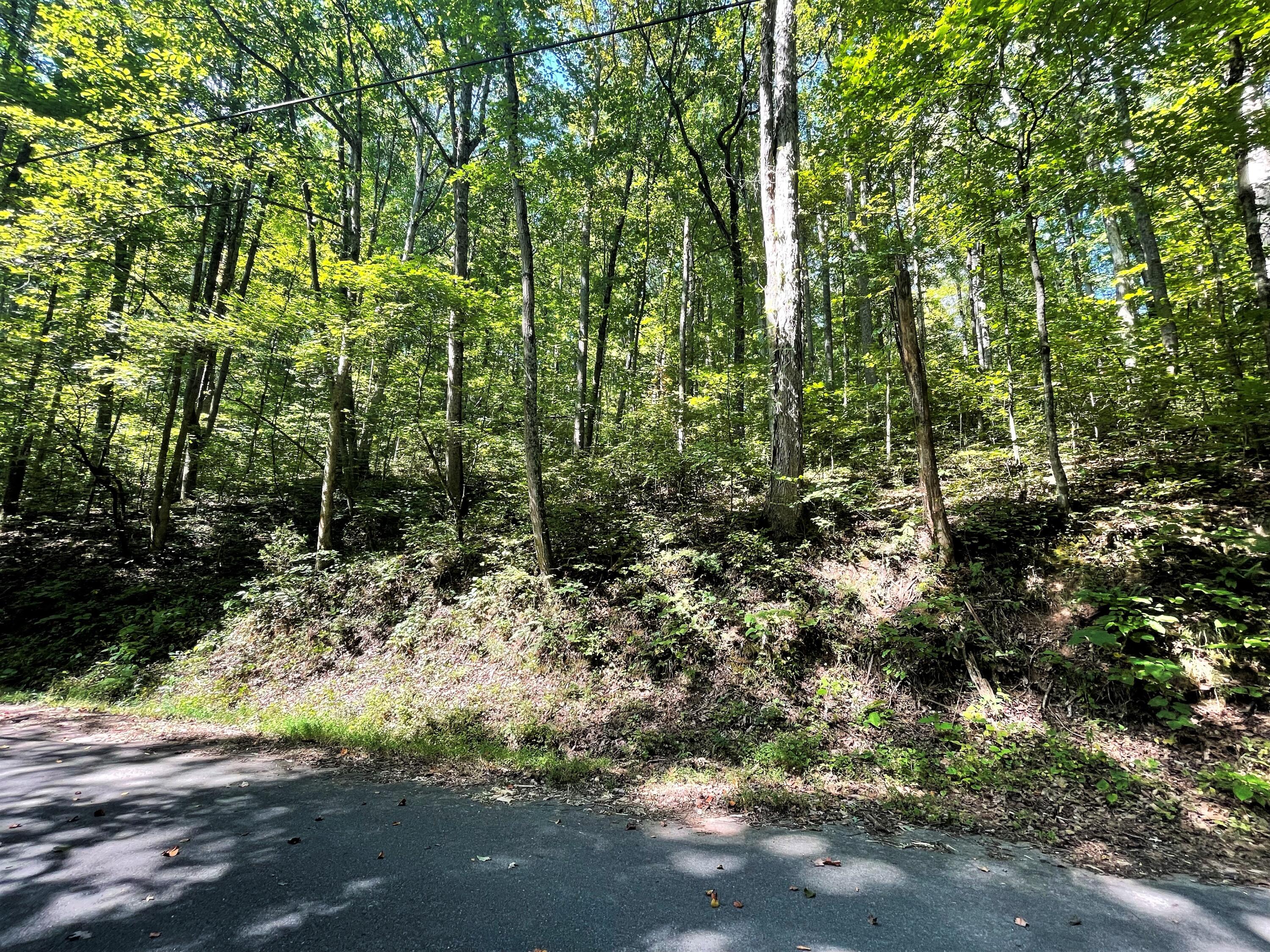 Lot Abc Dyer Hollow Road Mohawk, TN 37810 - Photo 6 of 32 IMG_4014