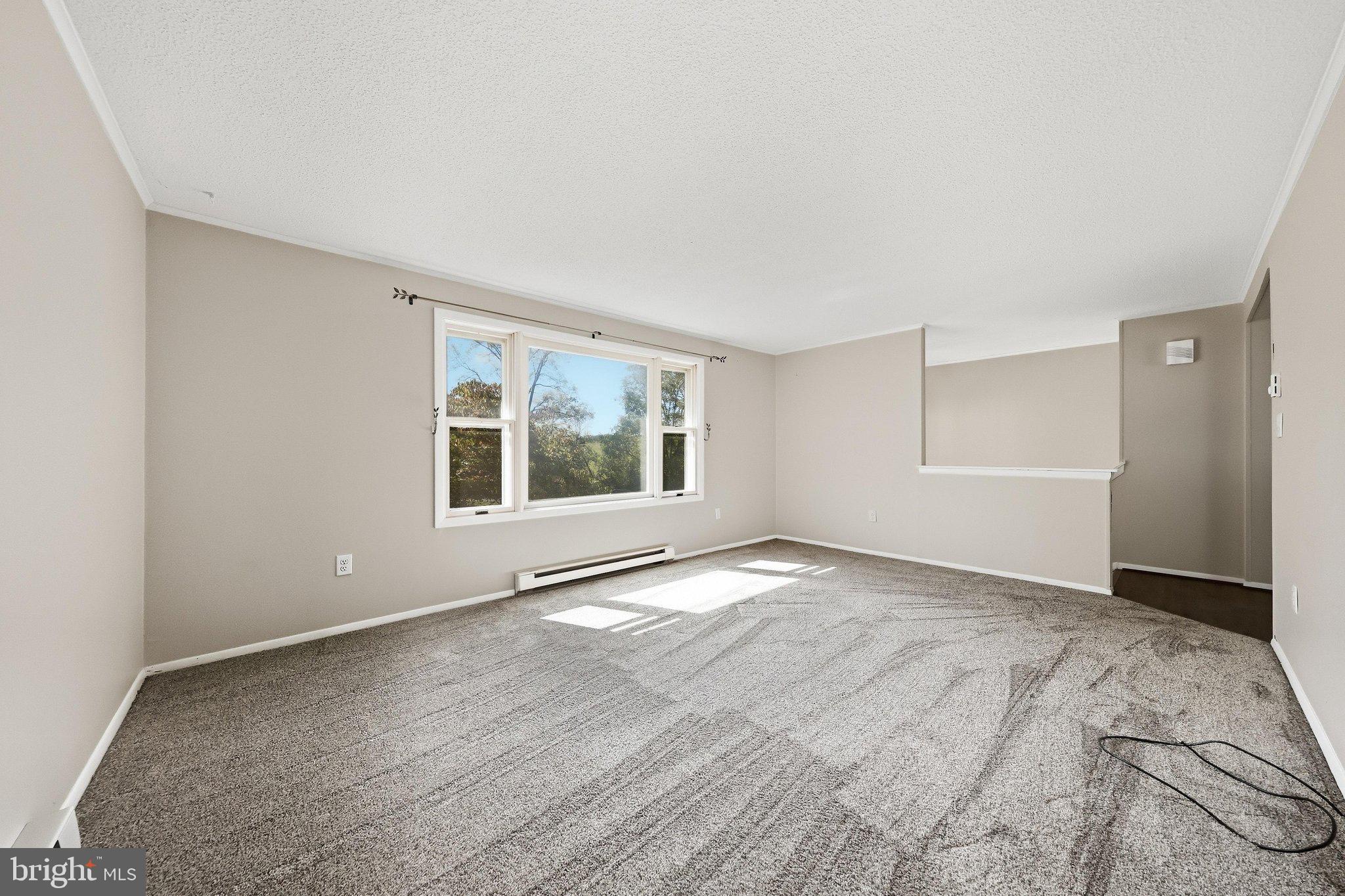 10652 Dorcus Road Woodsboro, MD 21798 - Photo 7 of 55 Living Room