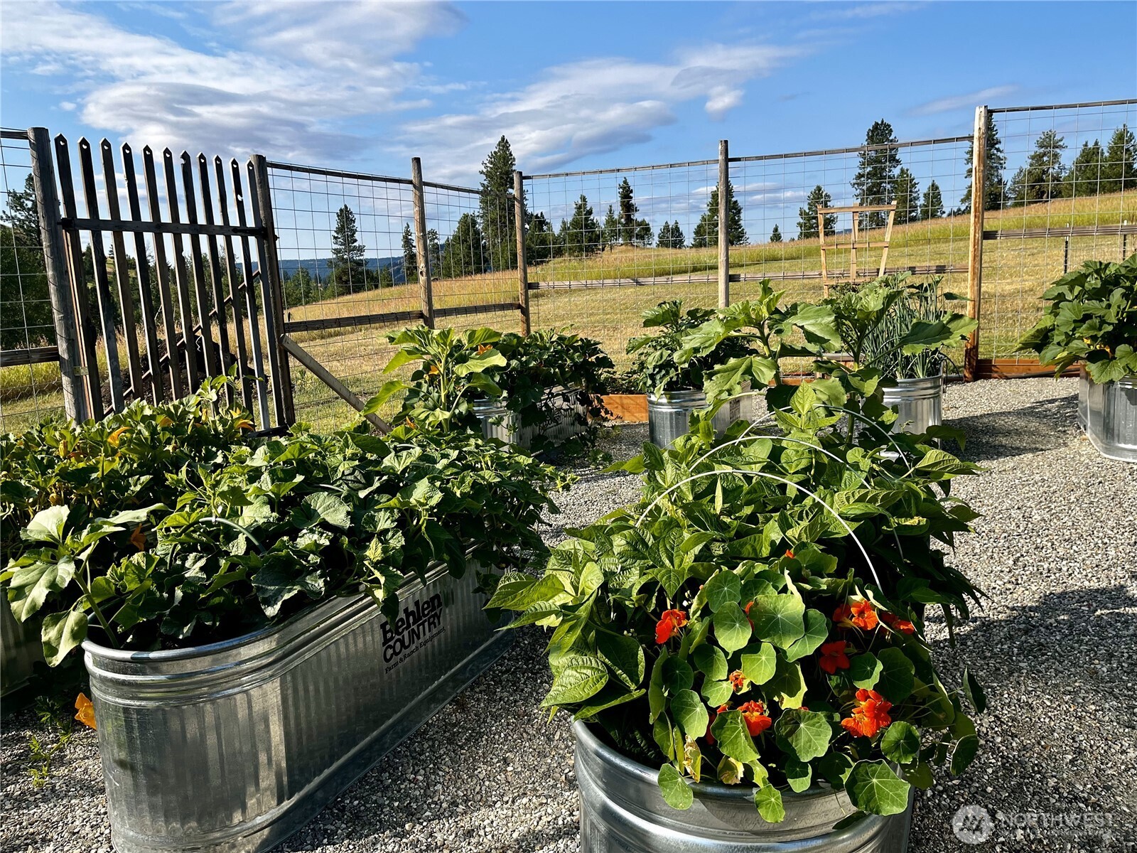 17 Rosse Road Republic, WA 99166 - Photo 36 of 40 Gallery Image 36