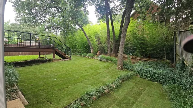 a view of a park with a tree