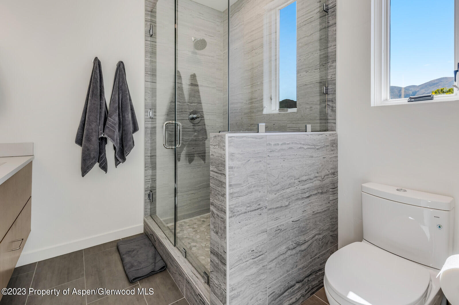 22860 2 Rivers Road, Unit 370 Basalt, CO 81621 - Photo 15 of 27 a bathroom with a toilet and a shower