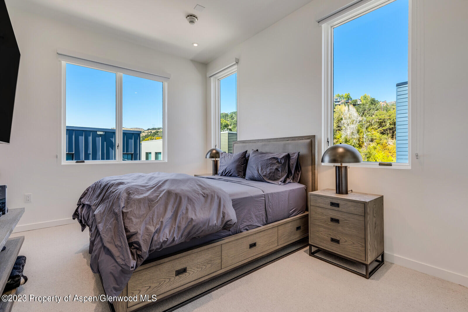 22860 2 Rivers Road, Unit 370 Basalt, CO 81621 - Photo 8 of 27 a bedroom with a bed and painting on the wall