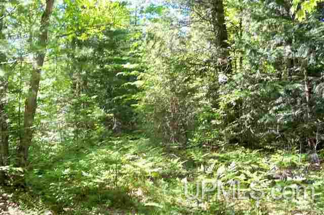 E734 Stella Lake Road Rapid River, MI 49864 - Photo 5 of 13