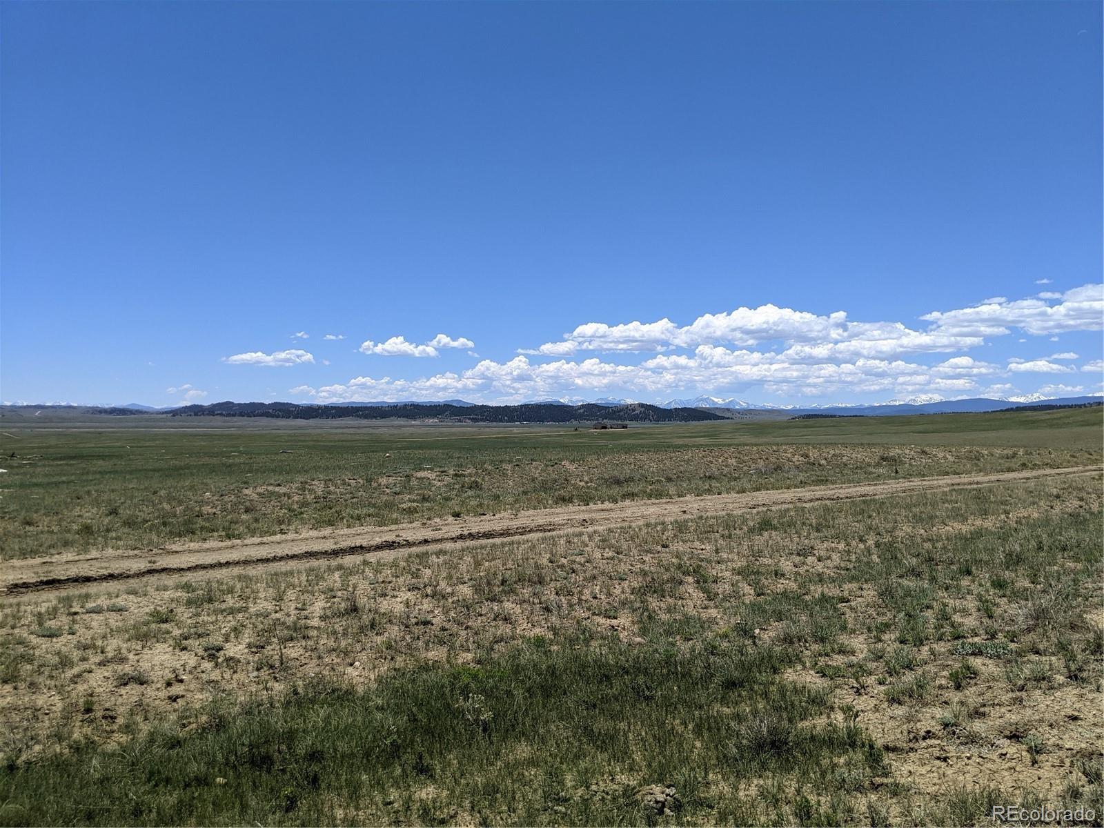 793 Routt Road Hartsel, CO 80449 - Photo 11 of 25