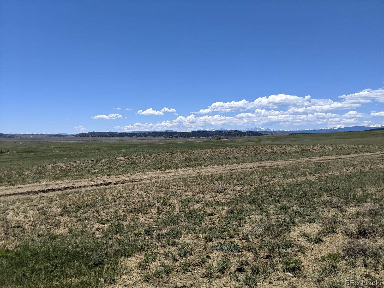 793 Routt Road Hartsel, CO 80449 - Photo 12 of 25