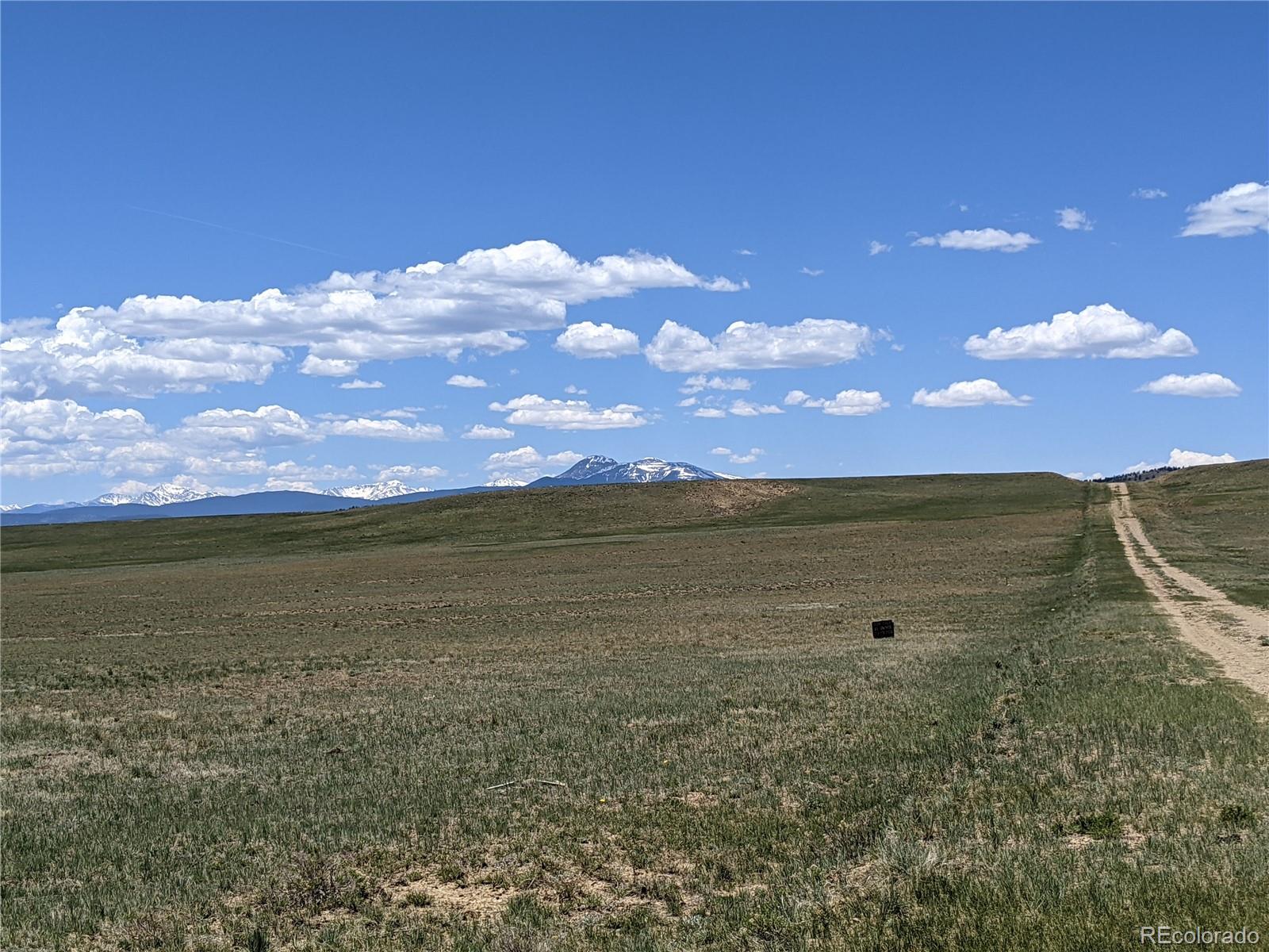 793 Routt Road Hartsel, CO 80449 - Photo 13 of 25