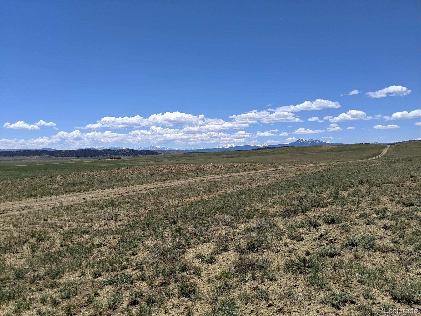 793 Routt Road Hartsel, CO 80449 - Photo 14 of 25