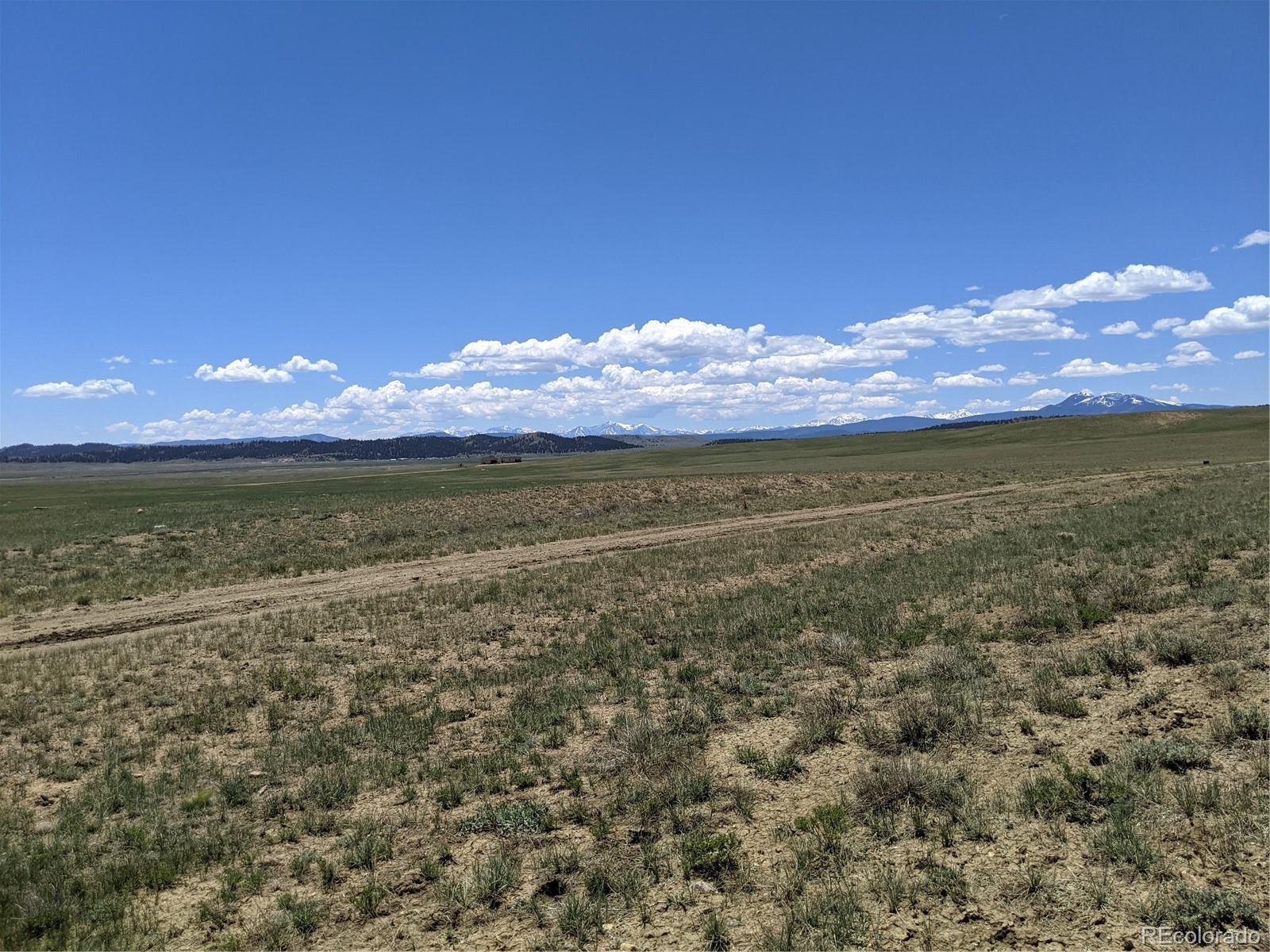 793 Routt Road Hartsel, CO 80449 - Photo 15 of 25