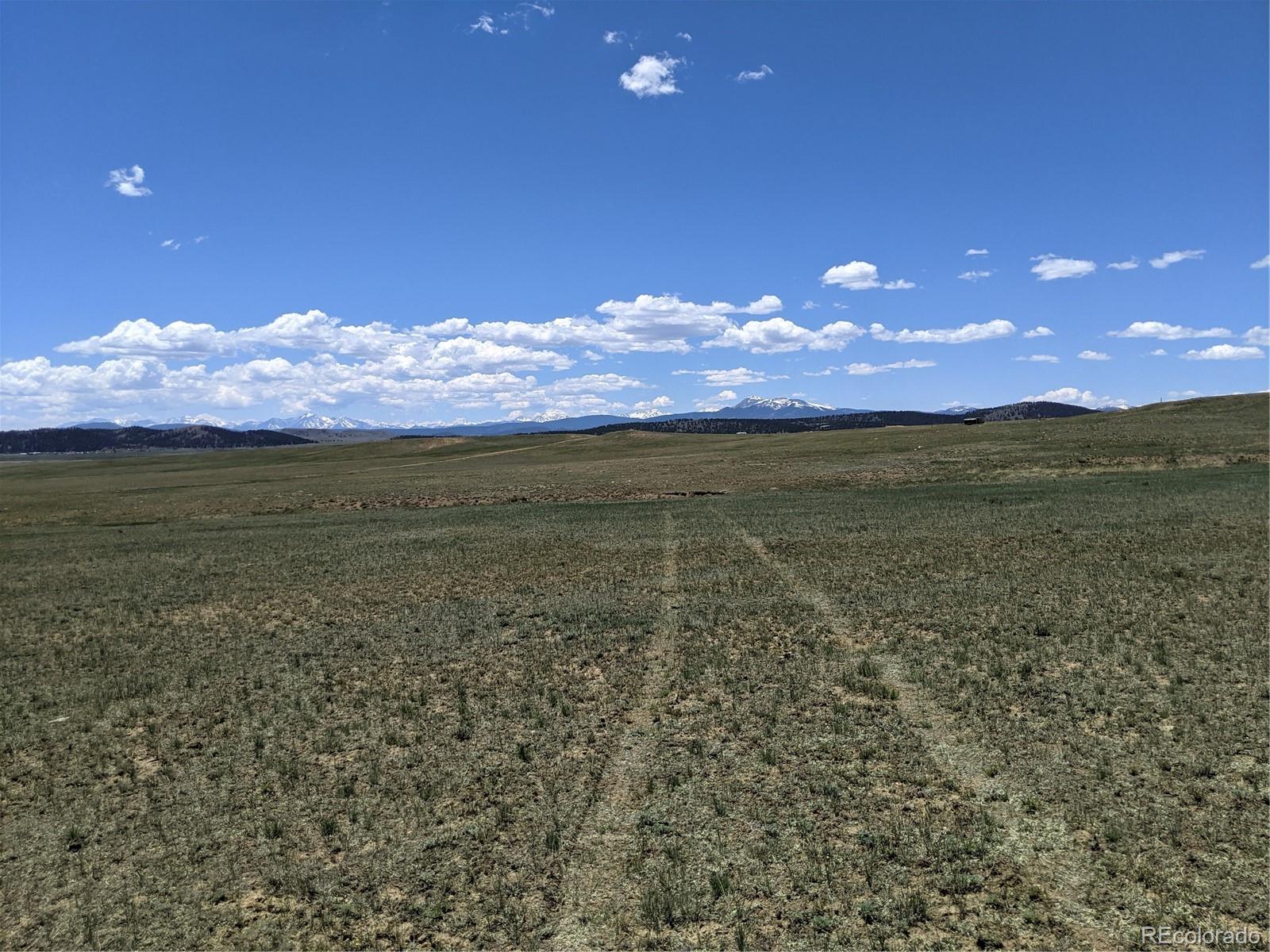 793 Routt Road Hartsel, CO 80449 - Photo 22 of 25