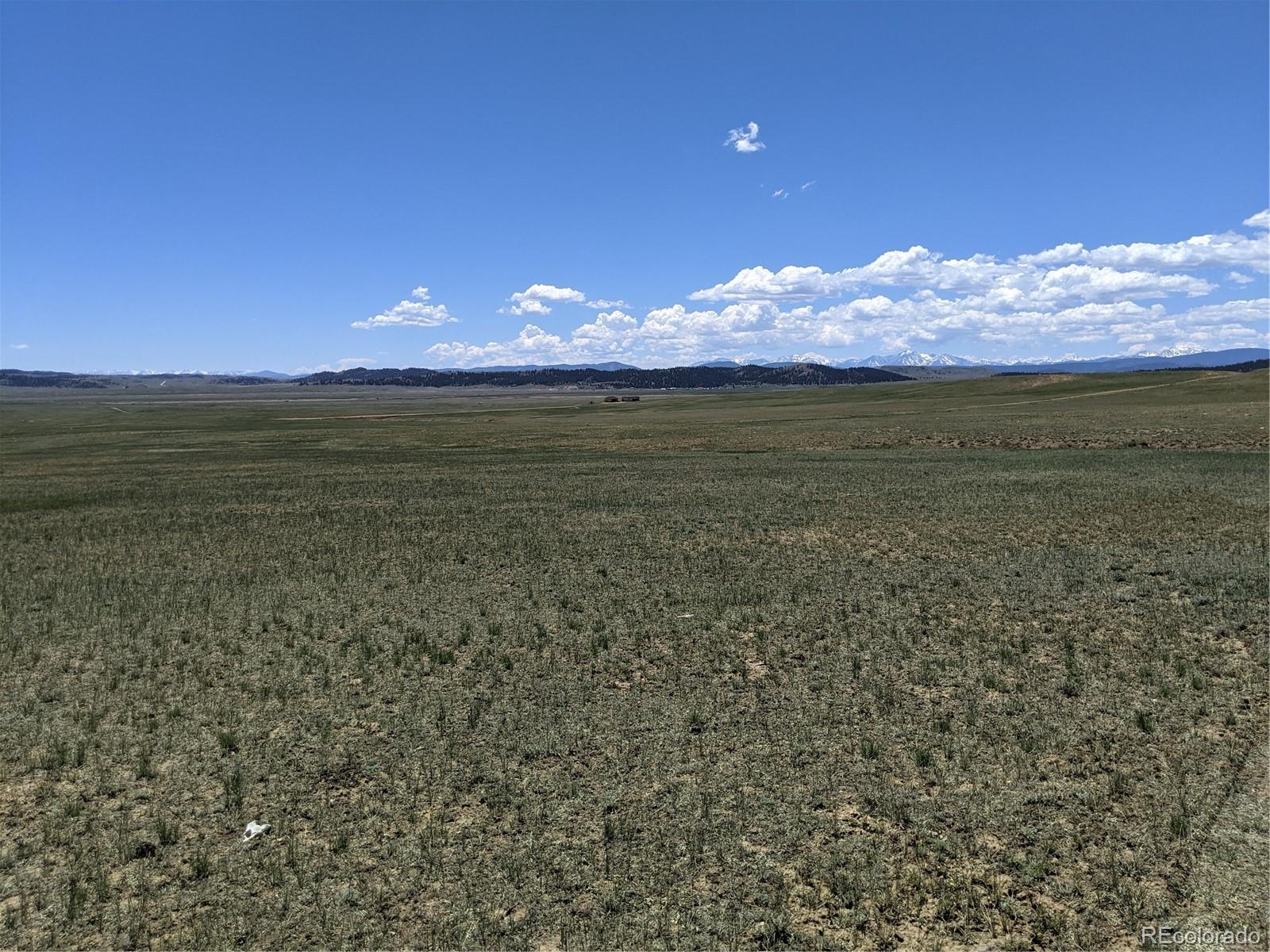 793 Routt Road Hartsel, CO 80449 - Photo 23 of 25