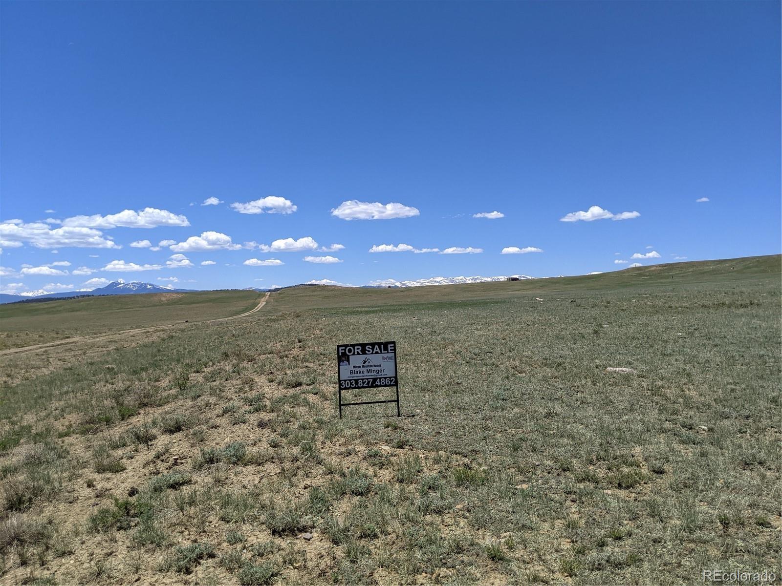 793 Routt Road Hartsel, CO 80449 - Photo 3 of 25