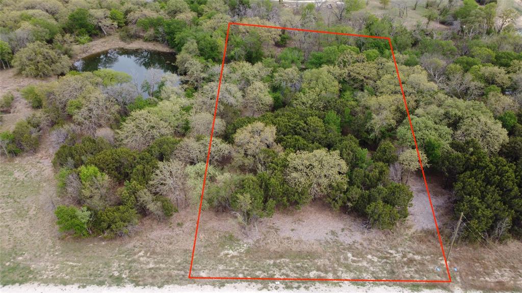 1045 Creek Crossing Road Nemo, TX 76070 - Photo 13 of 14 a view of a forest with a tree