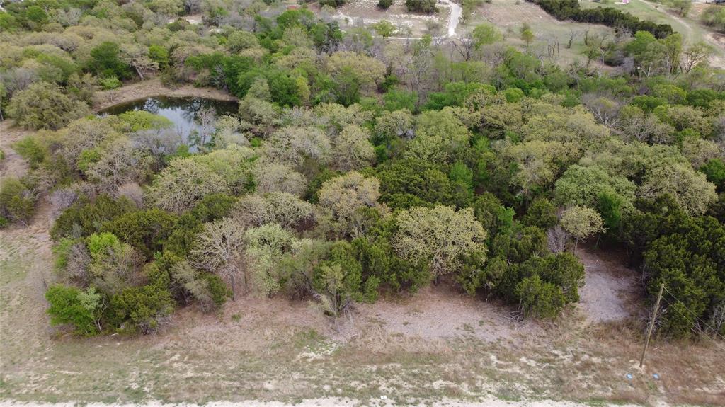 1045 Creek Crossing Road Nemo, TX 76070 - Photo 14 of 14 a view of a forest with a street