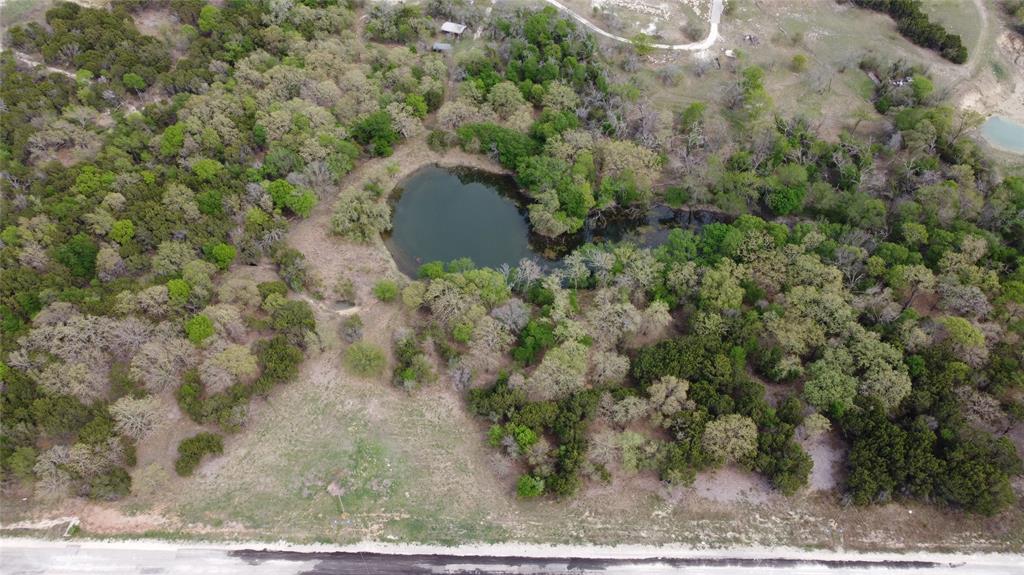 1045 Creek Crossing Road Nemo, TX 76070 - Photo 6 of 15 a view of a forest with a tree