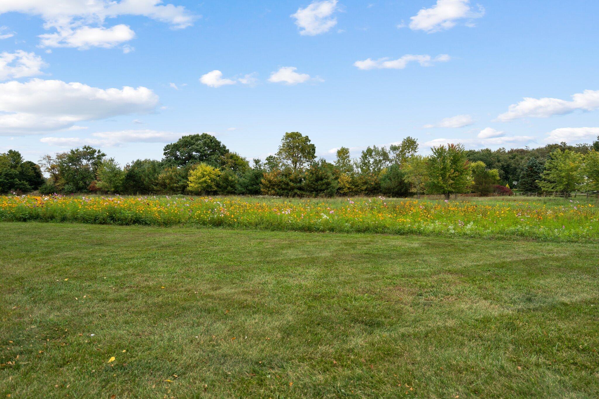 7273 Dell Road Saline, MI 48176 - Photo 80 of 93 44-web-or-mls-DSC07433