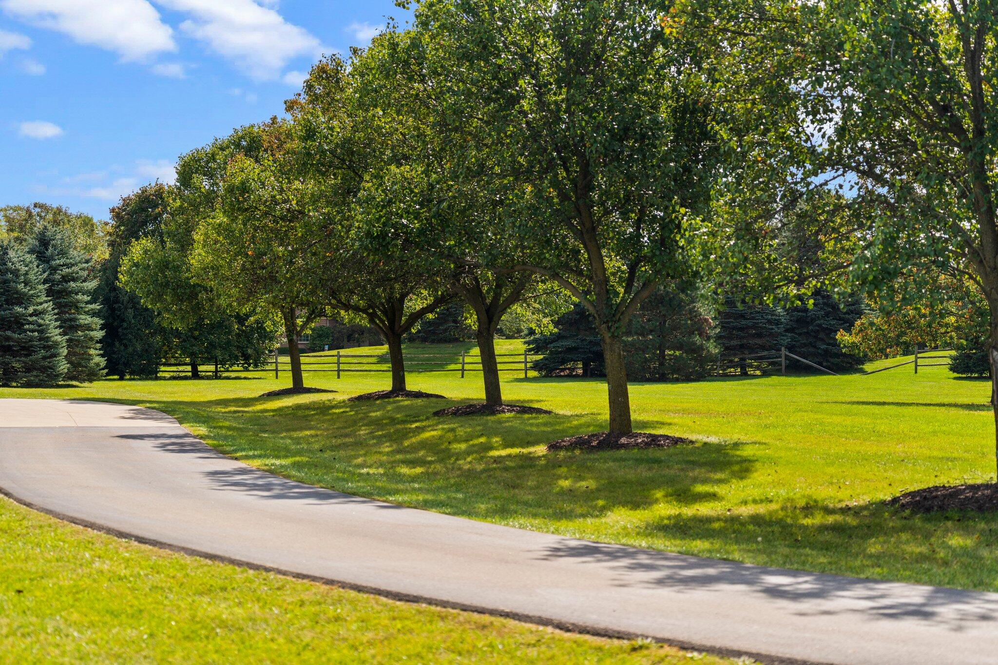 7273 Dell Road Saline, MI 48176 - Photo 91 of 93 107-web-or-mls-DSC09057