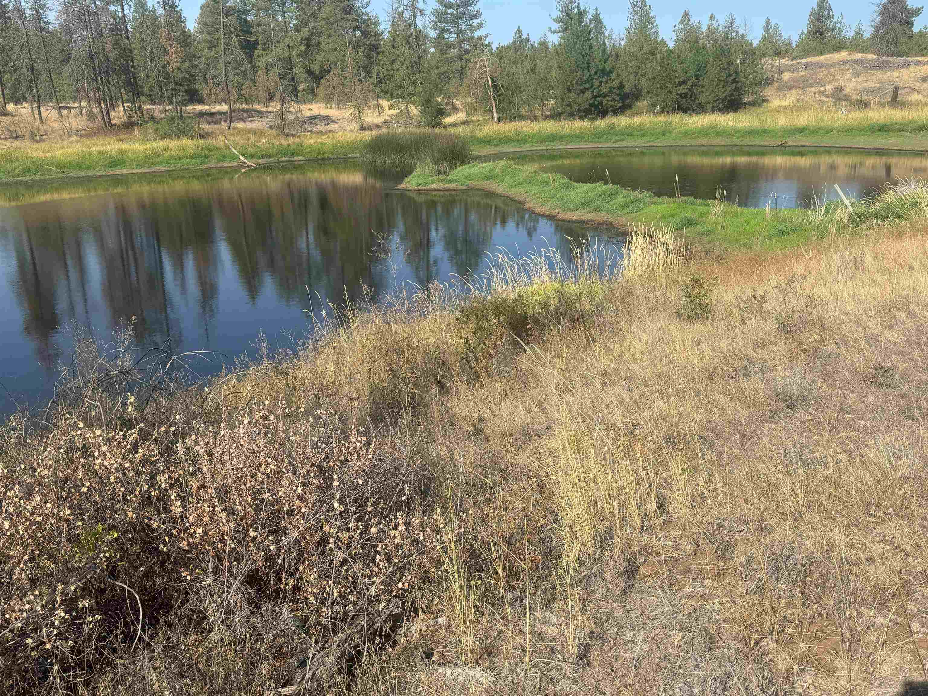 11015 North Ritchey Road Spokane, WA 99224 - Photo 25 of 28