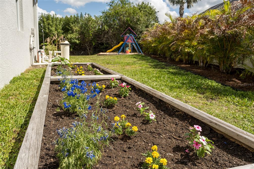 4136 Little Gap Loop Ellenton, FL 34222 - Photo 16 of 50 a view of swimming pool with a garden and plants