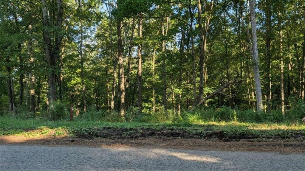 Lot 1 White Oak Circle Blue Ridge, GA 30513 - Photo 5 of 16 Gallery Image 5