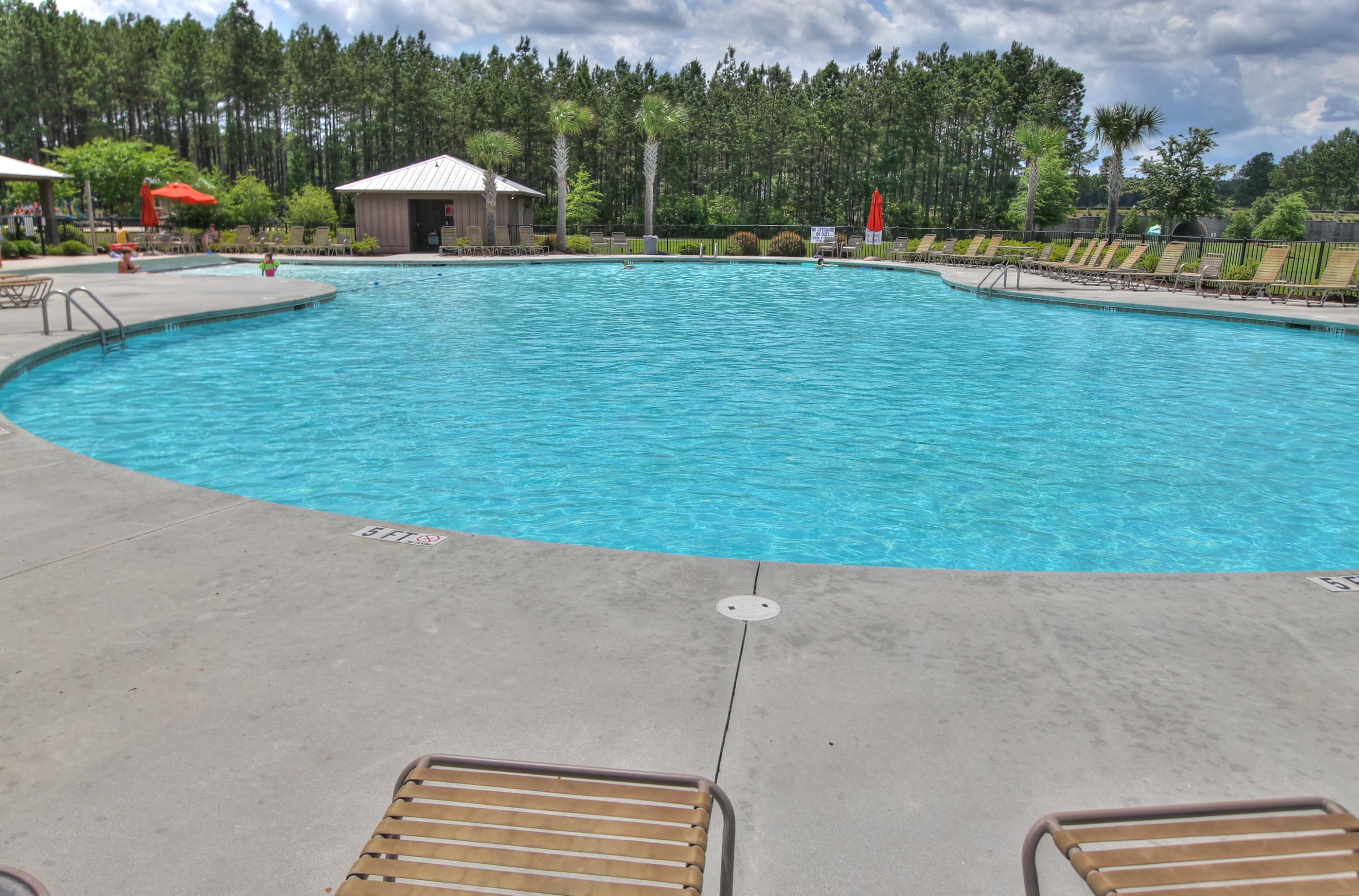 109 Brookhaven Road Summerville, SC 29486 - Photo 25 of 27 Pool 2