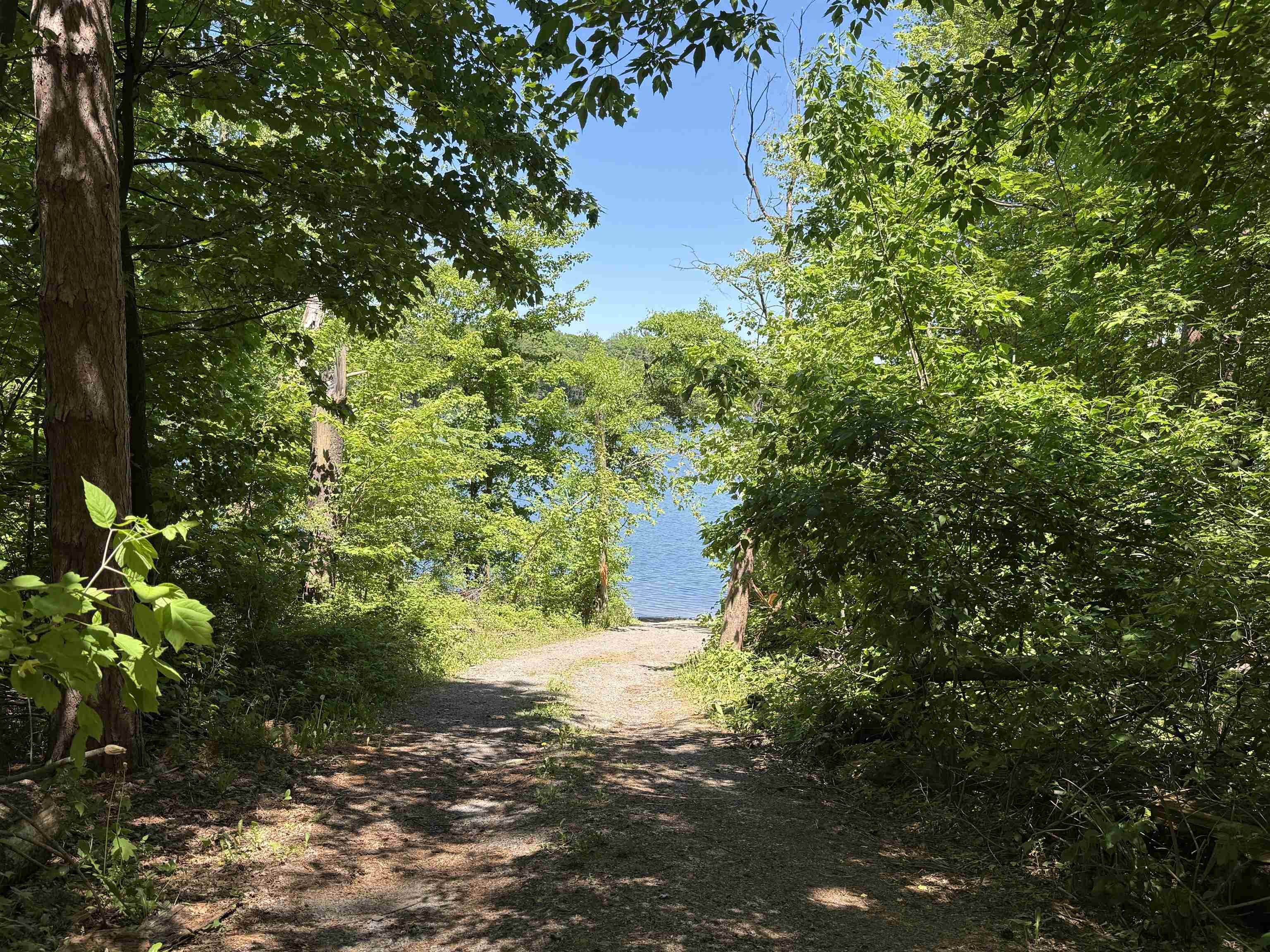 Lot 16 Arrowhead Road Amherst Junction, WI 54407 - Photo 15 of 17